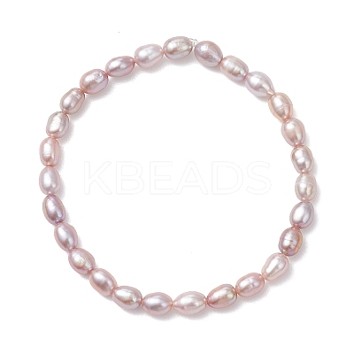 Natural Cultured Freshwater Pearl Beads Stretch Bracelets for Women BJEW-JB13210-02-1