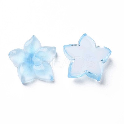 Transparent Epoxy Resin Cabochons LS-CRES-S365-23B-1