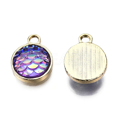 Alloy Resin Charms PALLOY-T056-24C-1
