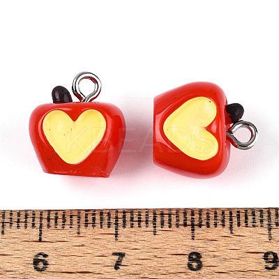 Resin and Enamel Charms RESI-T059-15-1