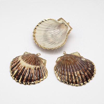 Natural Shell Big Pendant SHEL-P003-02-1