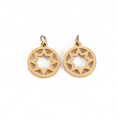 304 Stainless Steel Charms LS-STAS-S116-134G-1