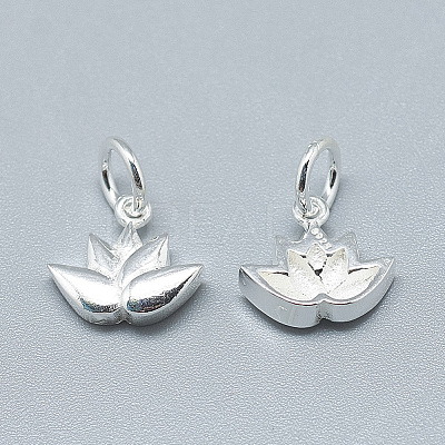 925 Sterling Silver Charms STER-T002-117S-1