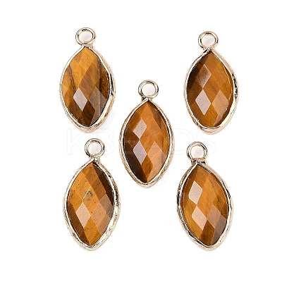 Natural Tiger Eye Faceted Pendants G-G193-01G-03-1