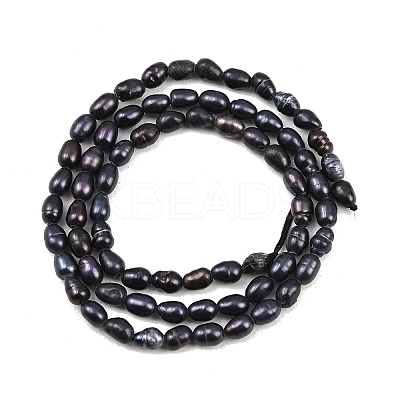 Natural Cultured Freshwater Pearl Beads Strands PEAR-XCP0001-19-1