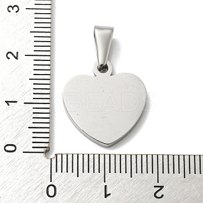 Non-Tarnish 304 Stainless Steel Pendants STAS-I135-12P-A-1