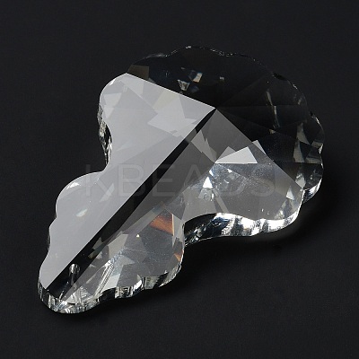 Transparent Glass Big Pendants GLAA-R223-06-1