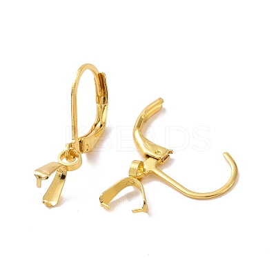 304 Stainless Steel Leverback Earring Findings STAS-G283-01G-1