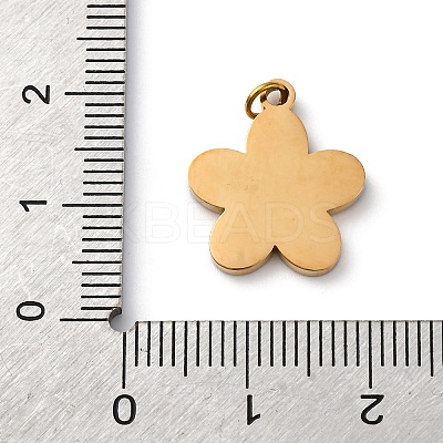316 Surgical Stainless Steel Enamel Pendants STAS-K258-40C-G-1