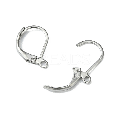 Tarnish Resistant 304 Stainless Steel Leverback Earring Findings STAS-S028-07-1