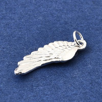 925 Sterling Silver Pendants STER-Q003-01J-S-1