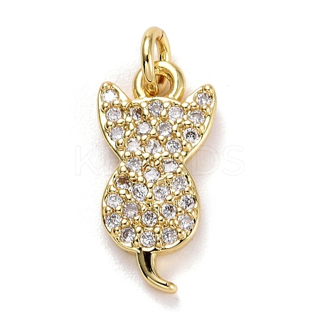 Brass Micro Pave Clear Cubic Zirconia Charms ZIRC-E165-09G-1