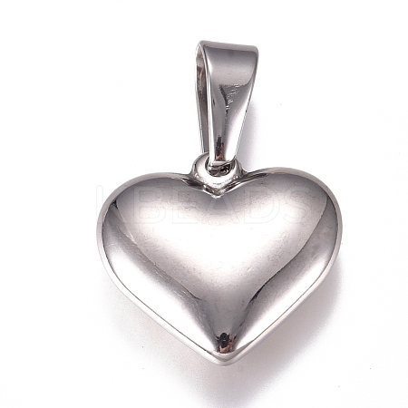 Tarnish Resistant 304 Stainless Steel Pendants STAS-I135-19P-1