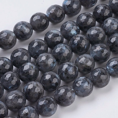 Natural Larvikite Beads Strands G-G542-10mm-27-1