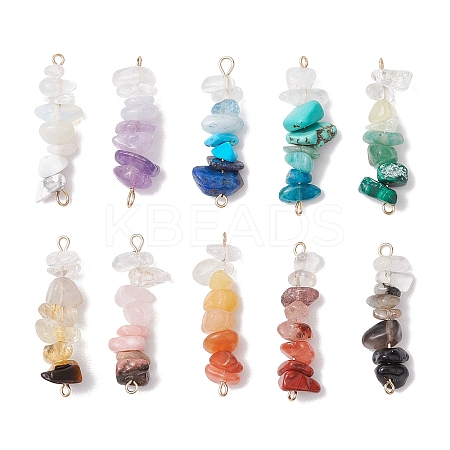 10Pcs 10 Styles Mixed Gemstone Chip Beaded Connector Charms PALLOY-JF02872-1