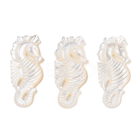 Natural White Shell Carved Pendants SSHEL-C012-05-1