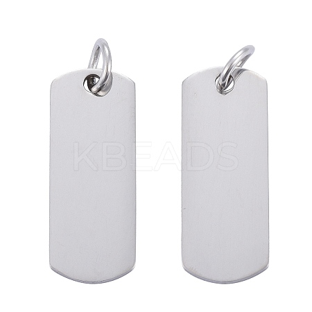 Anti-Tarnish 304 Stainless Steel Pendants LS-STAS-I311-30P-1