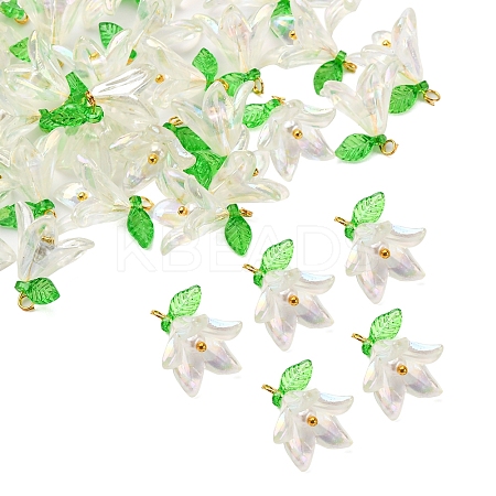 50Pcs Transparent Acrylic Pendants PALLOY-FS00038-03-1