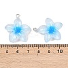 Transparent Resin Pendants RESI-P048-01P-4