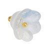 12Pcs 12 Colors Transparent Glass Charm PALLOY-JF04460-4