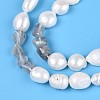 Natural Labradorite Nuggets & Natural Cultured Freshwater Pearl Beads Strands PEAR-N023-01A-17-4