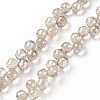 Transparent Glass Beads Strands GLAA-G096-01E-1