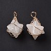 Natural Quartz Crystal Copper Wire Wrapped Pendants G-B041-02G-19-3