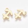 Ion Plating(IP) 304 Stainless Steel Charms X-STAS-S107-06C-1