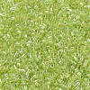 MIYUKI Delica Beads Small SEED-X0054-DBS0174-3
