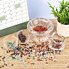 396G 18 Style Natural & Synthetic Gemstone Chip Beads G-NB0002-64-2