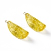 Transparent Resin Pendants RESI-P020-01P-2