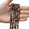Natural Gobi Agate Beads Strands G-Z119-A36-02-2