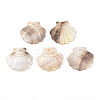 Natural Freshwater Shell Carved Pendants SHEL-N036-15-1