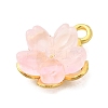 Alloy Glass Charms FIND-C079-05G-01-2