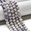 Natural Purple Turquoise Beads Strands G-L595-C04-02-2