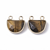 Natural Tiger Eye Semi Circle Pendants G-S359-011C-2