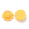 Resin Cabochons CRES-J043-09A-2