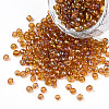 Round Glass Seed Beads X1-SEED-A007-3mm-162C-1