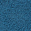 11/0 Grade A Baking Paint Glass Seed Beads X-SEED-N001-A-1017-2