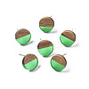 Transparent Resin & Walnut Wood Stud Earrings EJEW-N017-008-A02-1