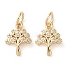 Rack Plating Brass Micro Pave Clear Cubic Zirconia Charms KK-D097-05G-1