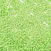 Baking Paint Glass Seed Beads X-SEED-S042-05B-65-3