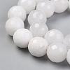 Natural Malaysia Jade Bead Strands G-F488-10mm-40-2