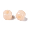 Opaque Baking Paint Glass Seed Beads SEED-T008-02C-4
