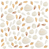 Olycraft 140Pcs 7 Style Natural Conch Shell Beads BSHE-OC0001-01-4