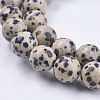 Natural Dalmatian Jasper Stone Bead Strands X-G-R193-14-10mm-3