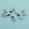Iron Rivets PW-WG57742-06-1