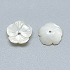 Natural White Shell Beads SSHEL-S260-017-2