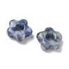 Natural Blue Spot Jasper European Beads G-C252-02B-2