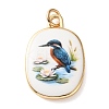 Golden Tone Brass Enamel Pendants KK-CBADFD5-03G-C-1